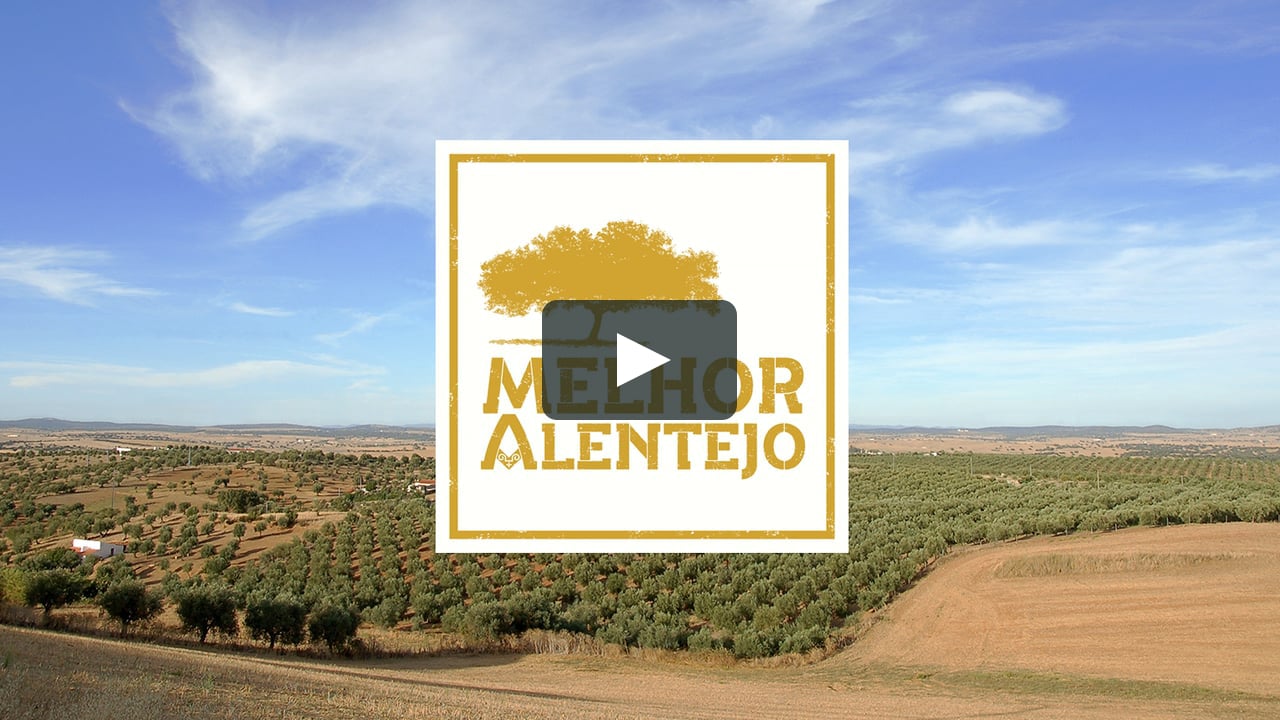 Vídeo institucional do Movimento de Cidadania Melhor Alentejo